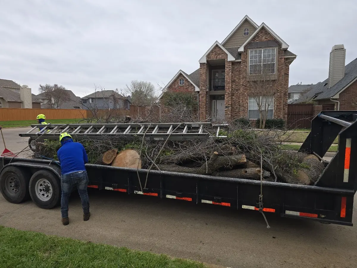 Expert Tree Fertilization with proper safety equipment in Lees Summit
